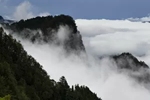 Misty mountains, Alishan National Recreational Forest, Taiwan