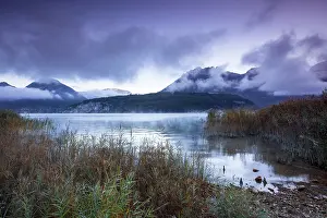 Cloud Prints: Misty sunrise over the Saint-Jorioz reed beds at Lake Annecy