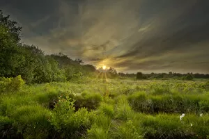 Images Dated 16th June 2011: Montiaghs Moss at dusk, County Antrim, Northern Ireland, UK, June 2011
