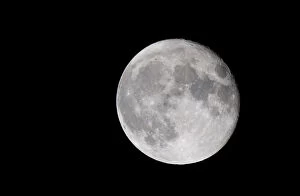 Images Dated 10th February 2009: Full Moon