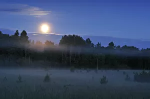 Images Dated 6th June 2008: Moon over the Kemeri National Park, Latvia, June 2009