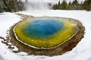 Images Dated 12th July 2019: Morning Glory thermal pool surrounded by snow, coniferous forest in background. Near