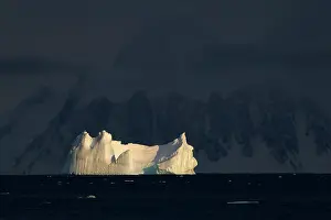Iceberg Prints: Morning light on and iceberg near Bongrain Point