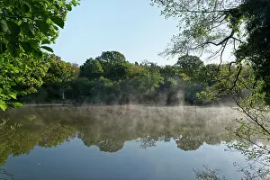 Reflection Prints: Morning mist rising from Cannop Ponds in early autumn