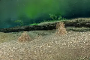 Riverbeds Prints: Mounds of loose sand on riverbed