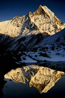Images Dated 8th November 2011: Mount Machapuchare( 6997m) at sunset. Annapurna Himal, Annapurna Sanctuary, central Nepal