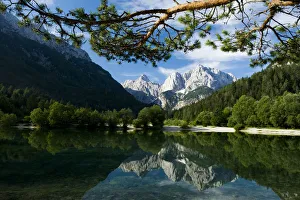 Images Dated 12th July 2009: Mount Prisojnik (2, 547m) and Mount Razor (2, 601m) with reflection in a small pond