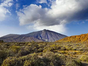 Images Dated 13th February 2020: Mount Teide / El Teide, Pico del Teide, volcano on Tenerife, Canary Islands