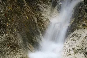 Mountain brook, Valea Prapastiilor, Piatra Craiului National Park, Transylvania
