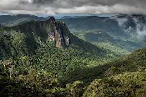 Cloud Prints: Mountain rainforest under low cloud, Marojejy National Park, Madagascar. April, 2018