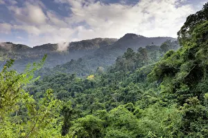 Colombia Prints: Mountain rainforest in Sierra Nevada de Santa Marta