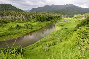 Mountain stream, palm trees and thick jungle in uplands, Vanua Levu Island, Fiji Mountain stream, palm trees and thick jungle in uplands, Vanua Levu Island, Fiji