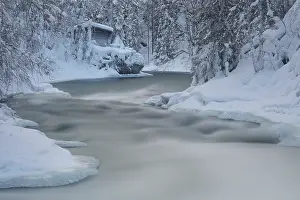 Northern Ostrobothnia Prints: Myllykoski rapids in winter, Oulanka National Park, Kuusamo, Finland. January, 2024