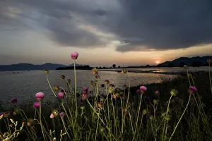 Elio Della Ferrera Prints: Neretva river delta at sunset, eastern coast of the Adriatic sea, Dalmatia region