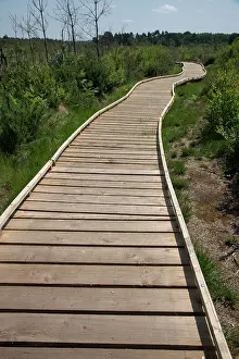 Heath Prints: New boardwalk, installed after major fire three years prior