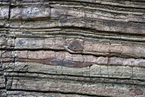 Sandstone Prints: Nodules caused by in-situ cementation of calcite and or siderite around a nucleus