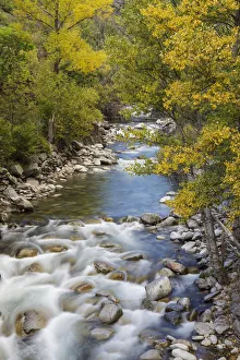 Autumn Prints: Noguera Pallaresa River in autumn, Alt Aneu Natural Park. Aneu Valley, Pyrenees Mountain