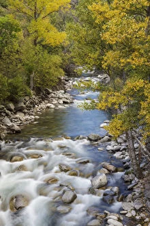 Noguera Pallaresa River in autumn, Alt Aneu Natural Park. Aneu Valley, Pyrenees Mountain