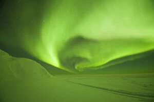Northern lights / Aurora borealis glowing brightly over the frozen eastern Beaufort Sea