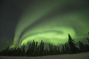 Colour Prints: Northern lights (Aurora borealis) glowing brightly over trees along Steese Highway