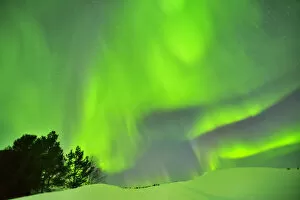 Northern lights in Nil moguba, Karelia, Russia. White Sea