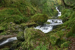 O Sullivans Cascade, Killarney National Park, County Kerry, Republic of Ireland