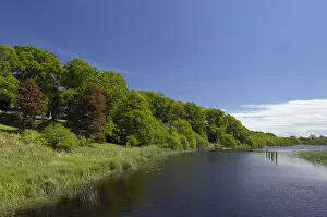 Exploring Britain Collection: Oak woodland beside water, Crom Castle Estate, County Fermanagh, Northern Ireland, UK