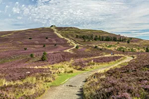 Landscape Gallery: Offas Dyke path leading to the summit of Moel Famau in the Clwydian Mountain Range
