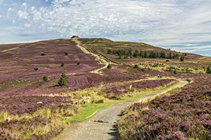 Exploring Britain Collection: Offas Dyke path leading to the summit of Moel Famau in the Clwydian Mountain Range