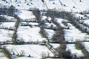 Hedge Prints: The Olchon Valley with small fields and hedges with trees of Celtic origins