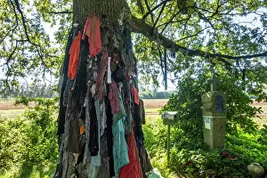 Folklore Prints: Old clothes hanging from the Chene a clous / nail tree of Herchies