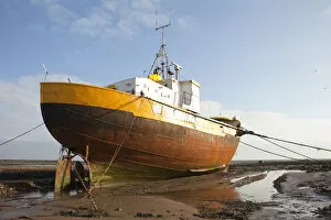 Images Dated 3rd February 2012: Old fishing boat held upright at low tide with ropes and chains, Roa Island, Morecambe Bay
