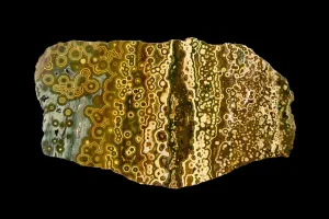 Images Dated 29th April 2016: Orbicular jasper, ocean jasper from Madagascar, a variety of jasper which
