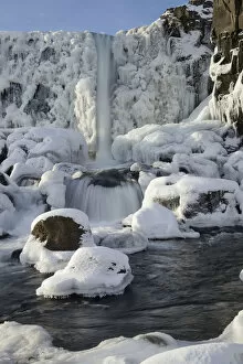Waterfalls Collection: Oxararfoss waterfall in winter, Almannagja Fissure, Thingvellir southern Iceland
