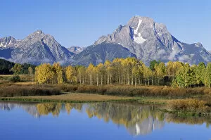 Images Dated 23rd June 2006: Oxbow Bend on Snake River, Mount Moran and Aspen trees Grand Teton NP Wyoming, USA