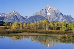 Oxbow Bend on Snake River, Mount Moran and Aspen trees Grand Teton NP Wyoming, USA