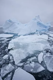 Icebergs Gallery: Pack ice and iceberg on sea, Svalbard, Norway, August 2009