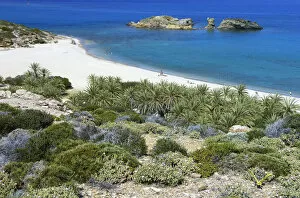 The palm beach in Vai, Crete, Greece, April 2009