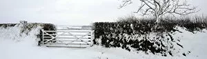 Panoramic view of a hedge and field gate after snowfall, near Bradworthy, Devon, UK