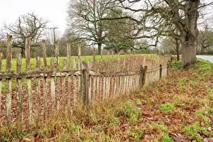 Parks Prints: Park pale made up of internal ditch and a wooden fence