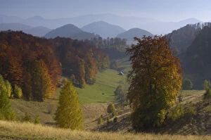 Pastures and forest covered hills, Piatra Craiului National Park, Transylvania, Southern