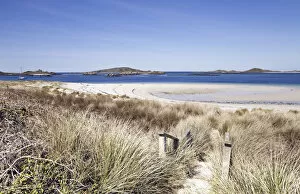 Images Dated 13th May 2012: Path leading down to Blockhouse Beach, Tresco, Isles of Scilly, Cornwall, England