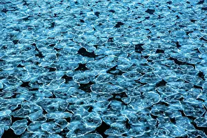 Cold Prints: Patterns in the ice, Bay of Whales, Ross Sea, Antarctica. February, 2023