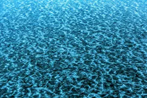 Cold Prints: Patterns in the ice, Bay of Whales, Ross Sea, Antarctica. February, 2023