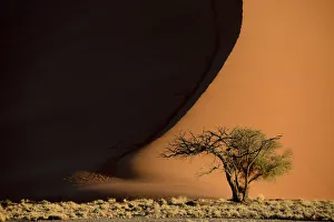 Patterns of shadows and light on sand dunes, Sossusvlei, Namib-Naukluft National Park