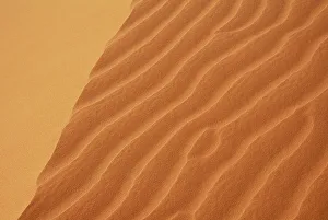 Ripple Prints: Patterns made by wind in sand dunes
