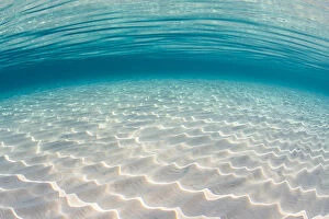 Wave Gallery: Patters of sunlight on a shallow sandy seabed. North Sound, Grand Cayman, Cayman Islands