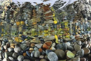 Pebbles Prints: Pebbles reflected in the water surface at mouth of Sheryldy river