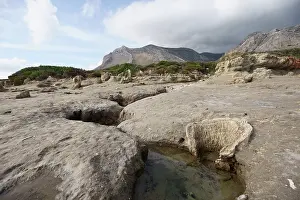 Greece Prints: Petrified tree trunks exposed by coastal erosion near Agia Marina