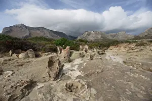 Petrified tree trunks exposed by coastal erosion near Agia Marina, Vatika Peninsula, Peloponnese, Greece. October, 2023